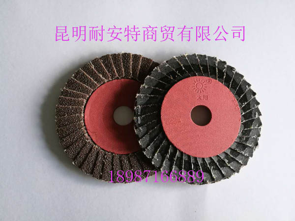 小太陽(yáng)花頁(yè)輪100mm